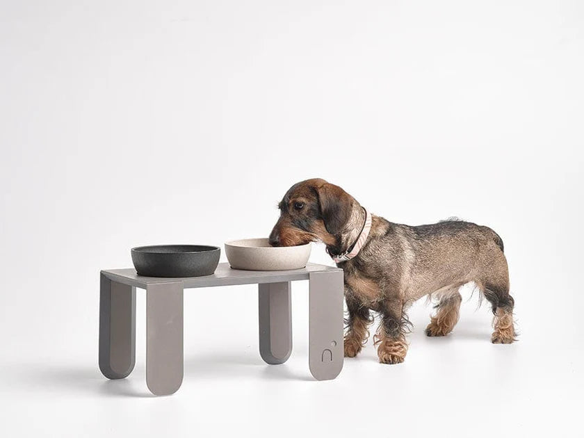 Noonu Raised Adjustable Tilt Ceramic Pet Bowl